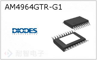 AM4964GTR-G1