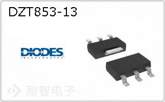 DZT853-13