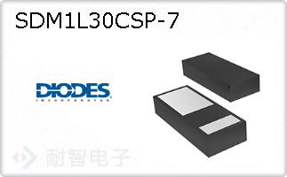 SDM1L30CSP-7