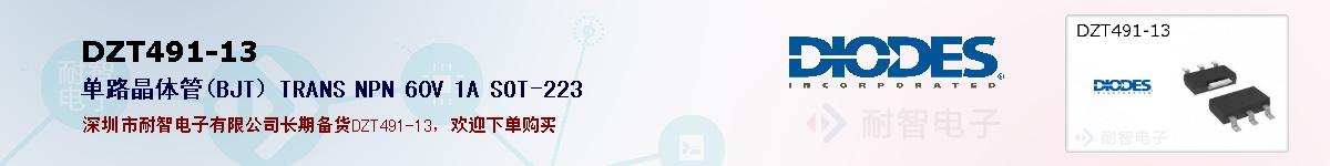 DZT491-13�ı��ۺͼ�������