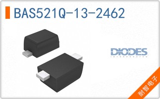BAS521Q-13-2462