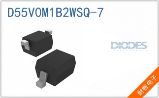 D55V0M1B2WSQ-7