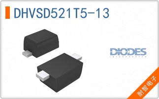 DHVSD521T5-13