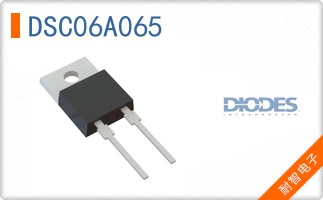 DSC06A065