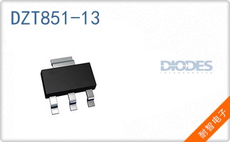 DZT851-13