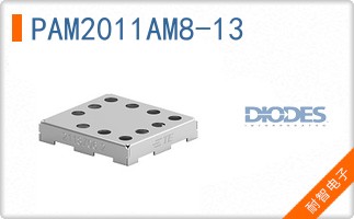 PAM2011AM8-13