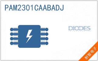 PAM2301CAABADJ