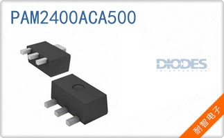 PAM2400ACA500