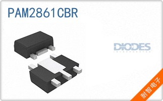 PAM2861CBR