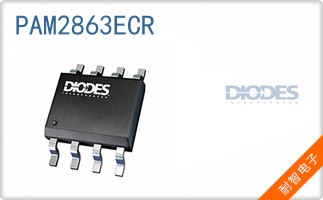 PAM2863ECR