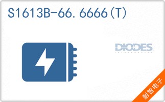 S1613B-66.6666(T)