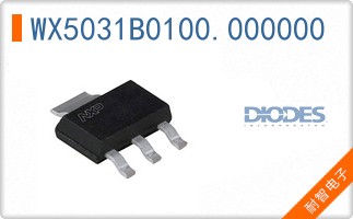 WX5031B0100.000000