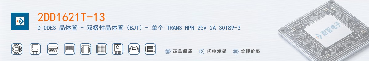 2DD1621T-13������