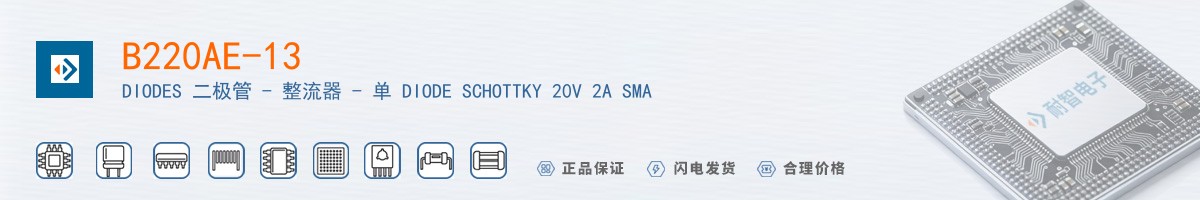 B220AE-13������