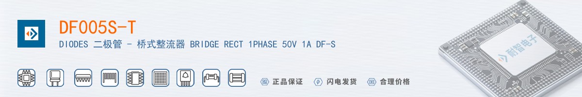 DF005S-T������