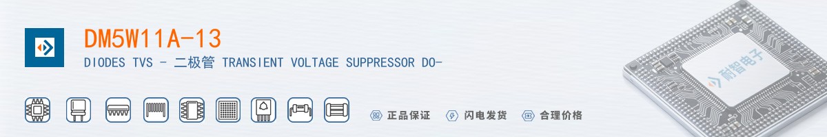 DM5W11A-13������