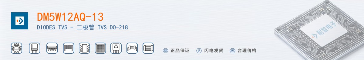 DM5W12AQ-13������