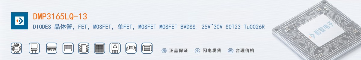 DMP3165LQ-13������