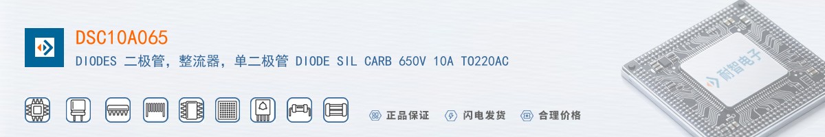 DSC10A065������