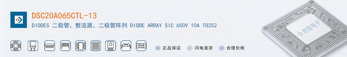 DSC20A065CTL-13������