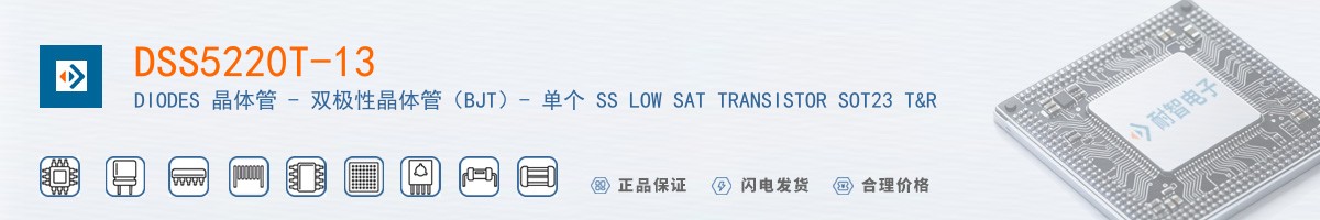 DSS5220T-13������