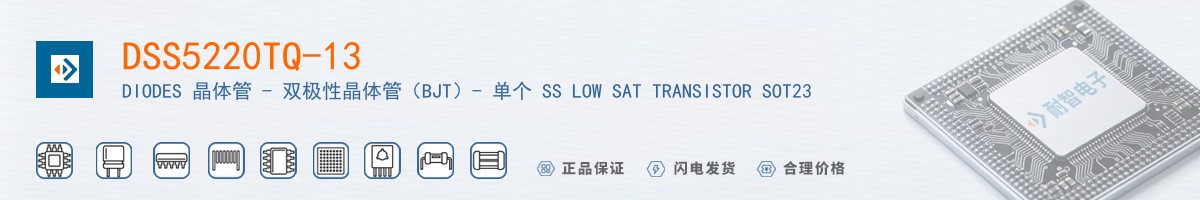 DSS5220TQ-13������