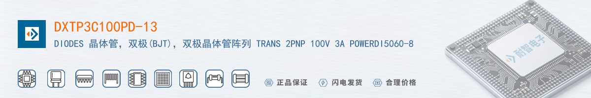 DXTP3C100PD-13������