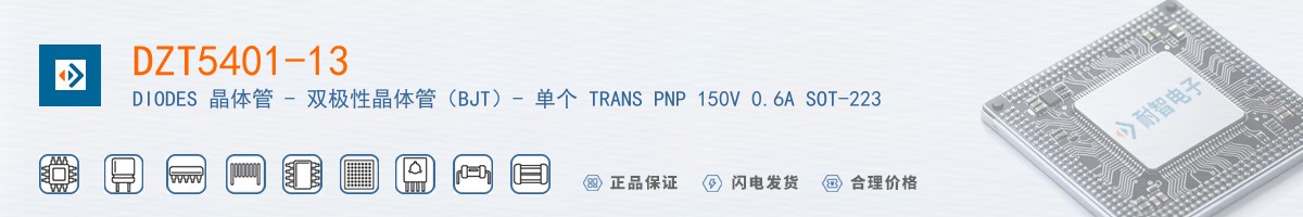 DZT5401-13������