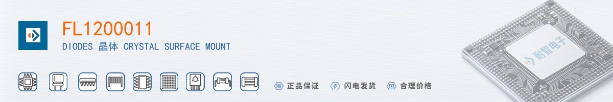 FL1200011������