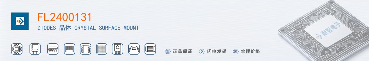 FL2400131������