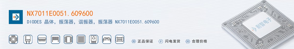 NX7011E0051.609600������