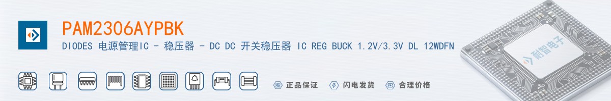 PAM2306AYPBK������