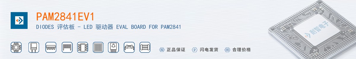 PAM2841EV1������