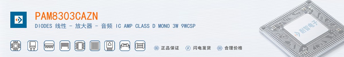 PAM8303CAZN������