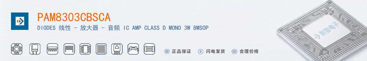 PAM8303CBSCA������