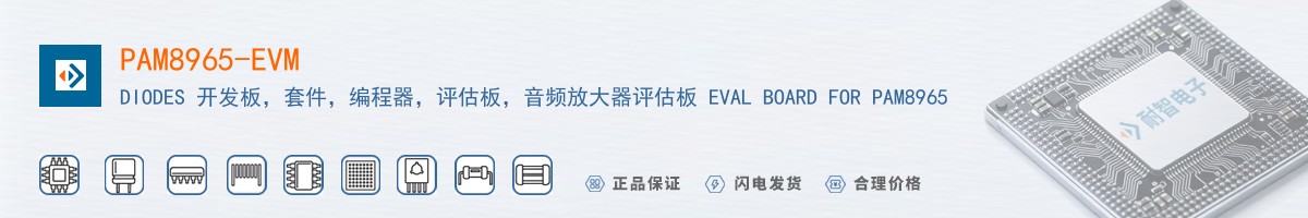 PAM8965-EVM������
