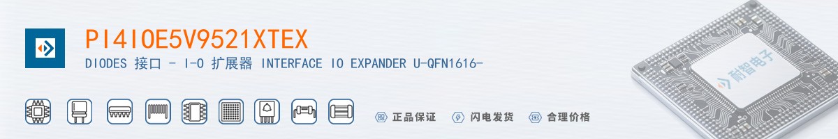 PI4IOE5V9521XTEX������