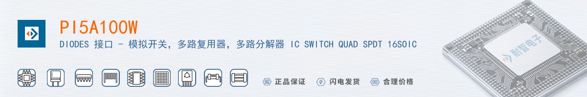 PI5A100W������