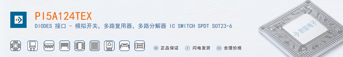 PI5A124TEX������