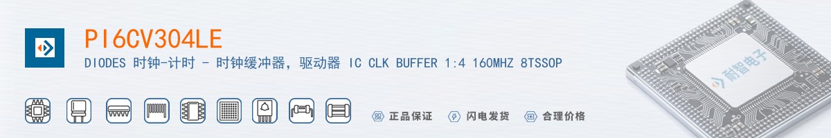 PI6CV304LE������