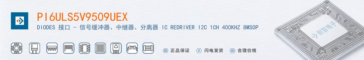 PI6ULS5V9509UEX������