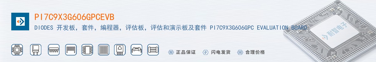 PI7C9X3G606GPCEVB������
