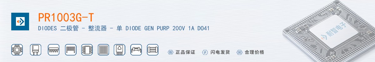 PR1003G-T������