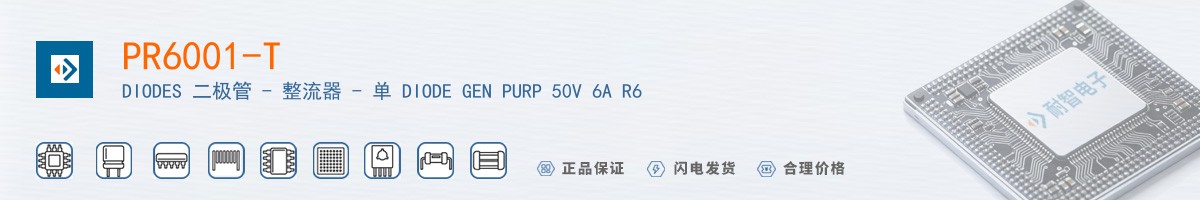 PR6001-T������