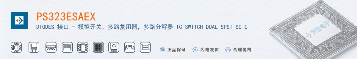 PS323ESAEX������