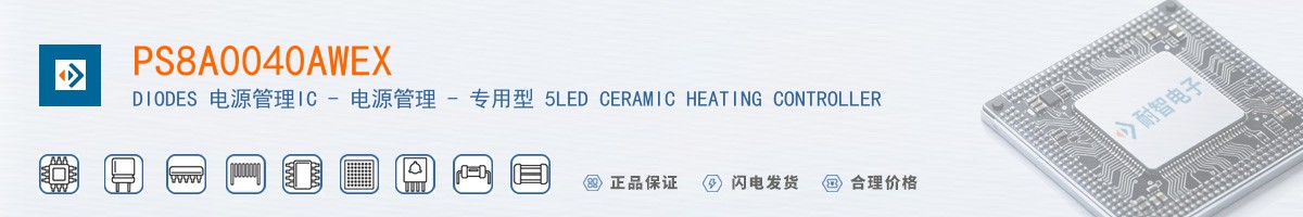 PS8A0040AWEX������