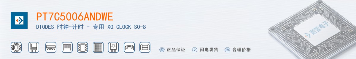 PT7C5006ANDWE������