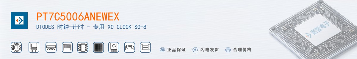 PT7C5006ANEWEX������