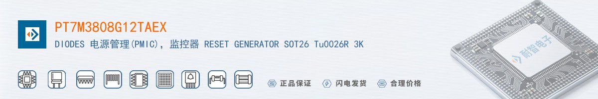 PT7M3808G12TAEX������