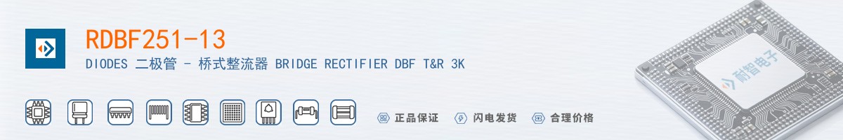 RDBF251-13������